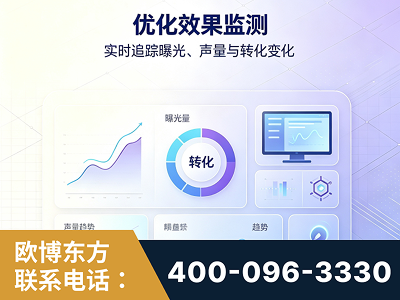 肇庆-优化效果监测