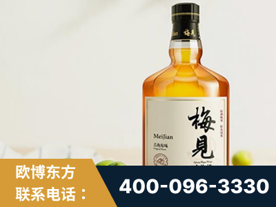 肇庆-梅见青梅酒